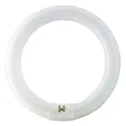 Osram T9 Lumilux Circline 32W - 840 Kallvit | 30cm